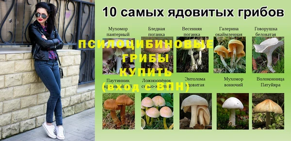 MDMA Белокуриха