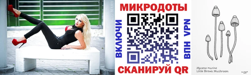 Псилоцибиновые грибы Psilocybe  как найти закладки  Михайлов 
