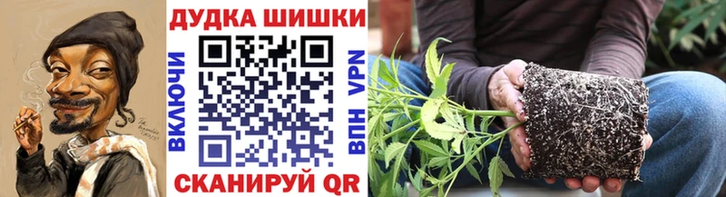 МАРИХУАНА планчик  где можно купить наркотик  Михайлов 